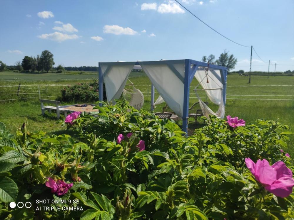 Folwark Malinowy Chrusniak Vila Bisztynek Exterior foto