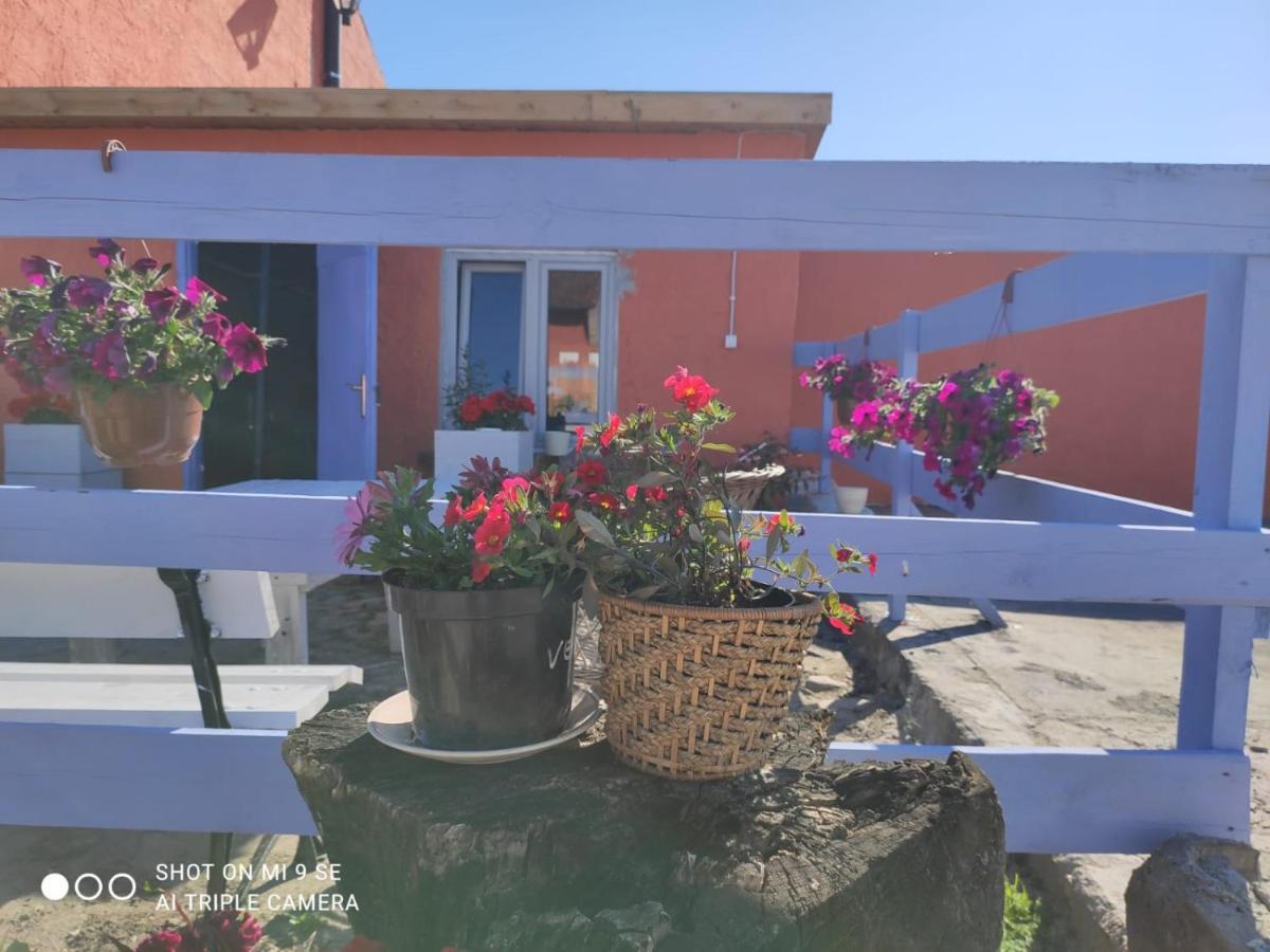 Folwark Malinowy Chrusniak Vila Bisztynek Exterior foto