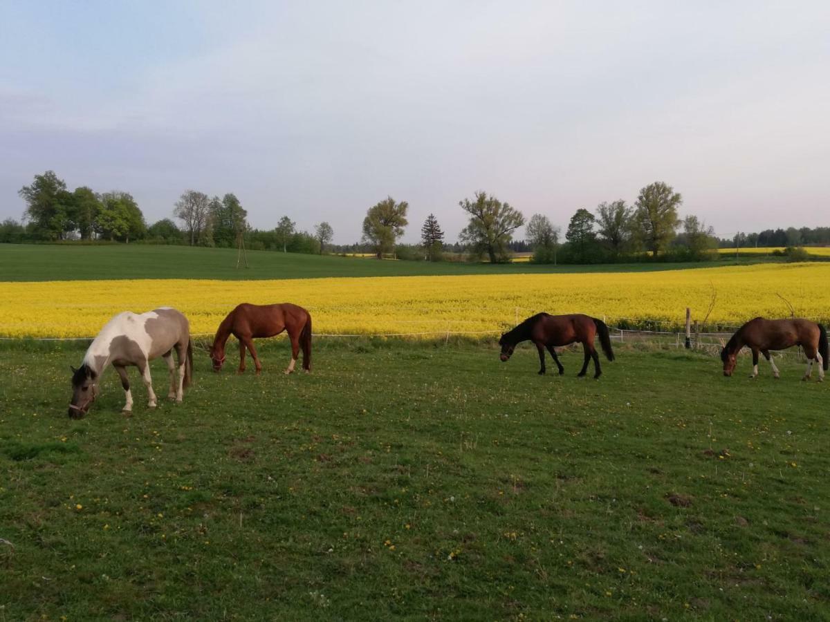 Folwark Malinowy Chrusniak Vila Bisztynek Exterior foto