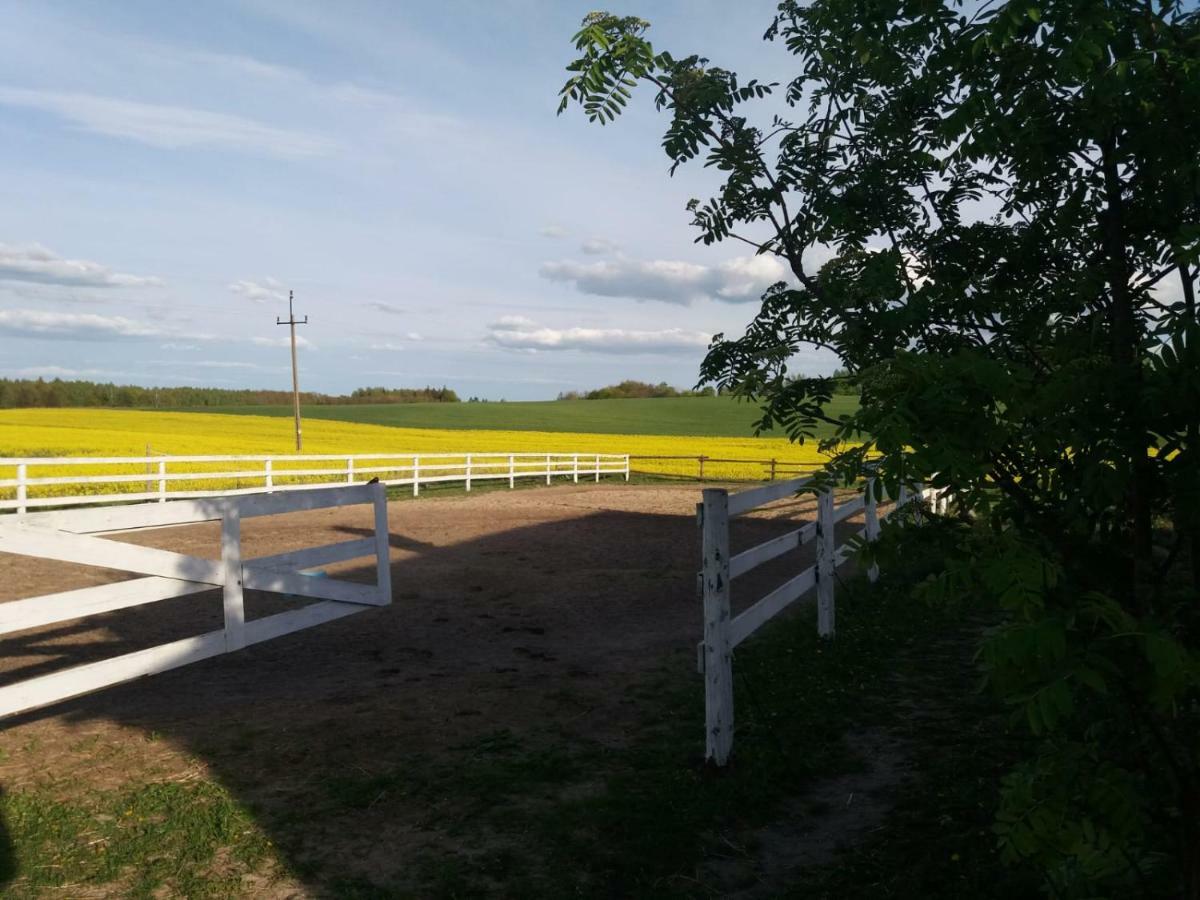 Folwark Malinowy Chrusniak Vila Bisztynek Exterior foto